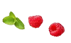 Pastigir Pastis Landais Bordeaux Bloc Anime 2